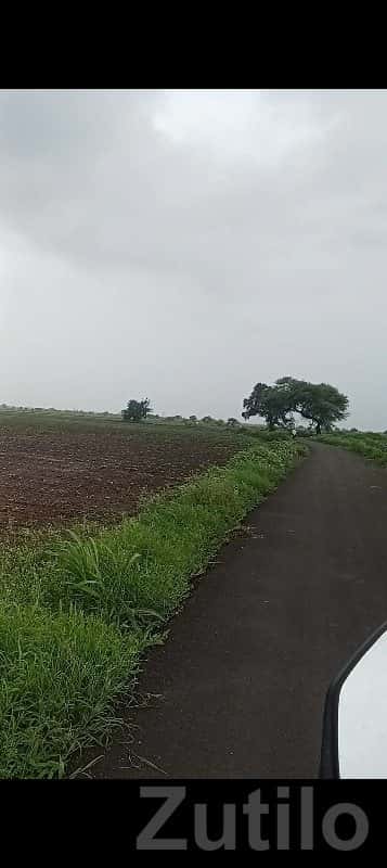 Road Touch Farmland Plot in Savarkundla Road Touch Farmland Plot in Savarkundla
