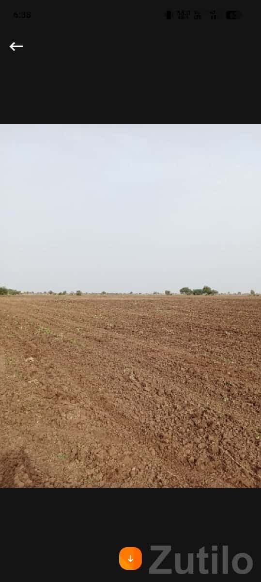 Savarkundla Fertile Agricultural Land Sale Savarkundla Fertile Agricultural Land Sale