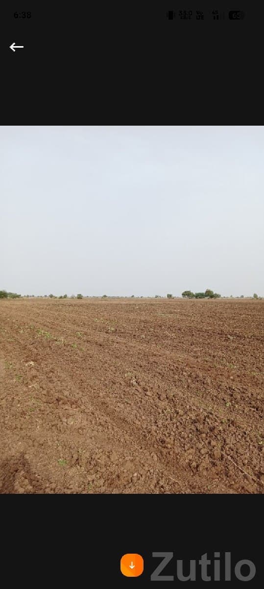 Savarkundla Fertile Agricultural Land Sale