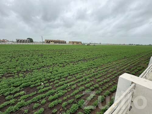 Vadala Fatak Roadside Plot Land for Sale Vadala Fatak Roadside Plot Land for Sale