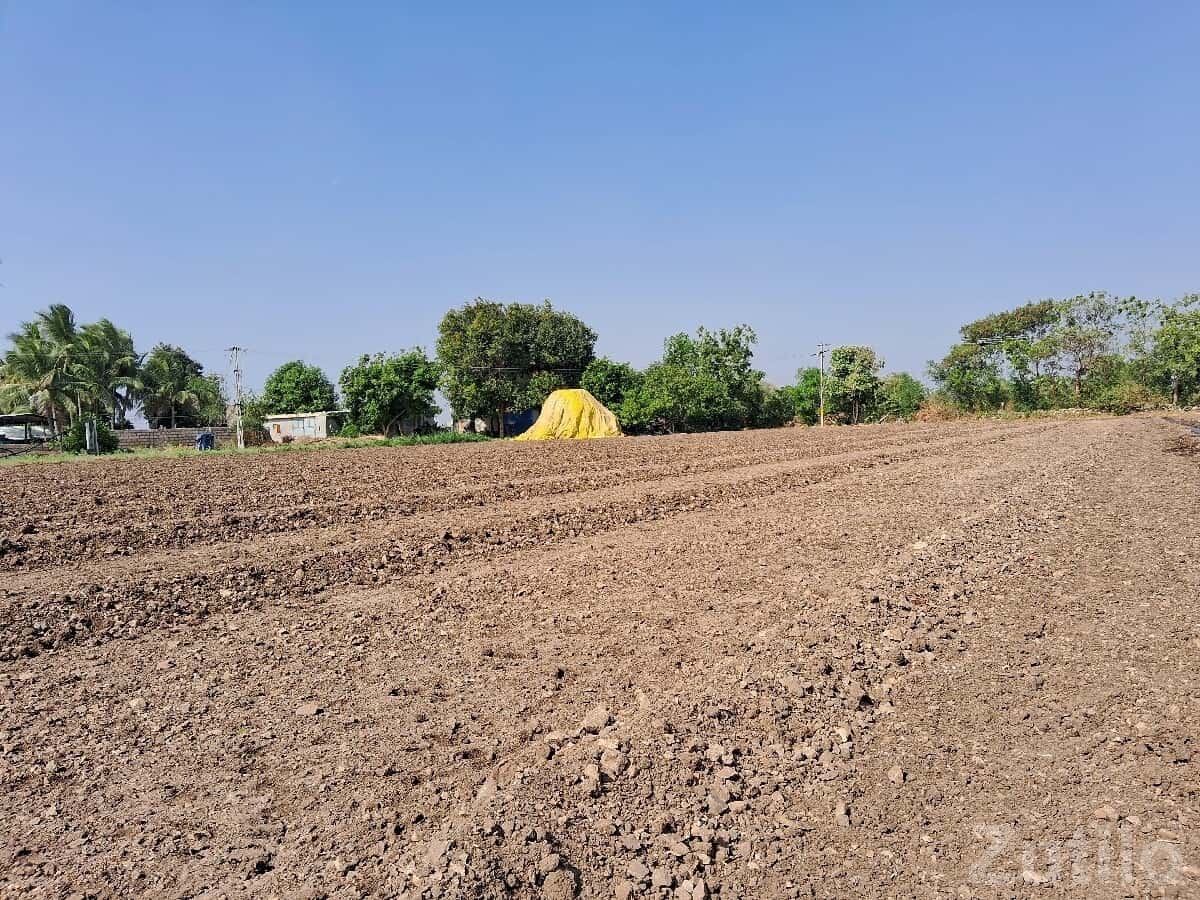 Fertile Agricultural Land for Sale Fertile Agricultural Land for Sale