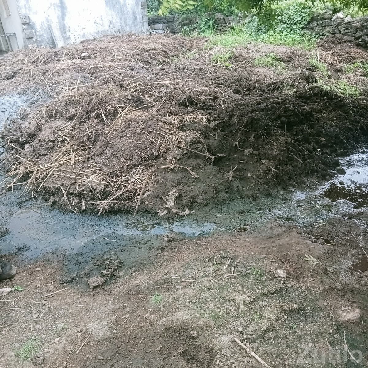 Desi Chhaniyu Organic Manure Bulk