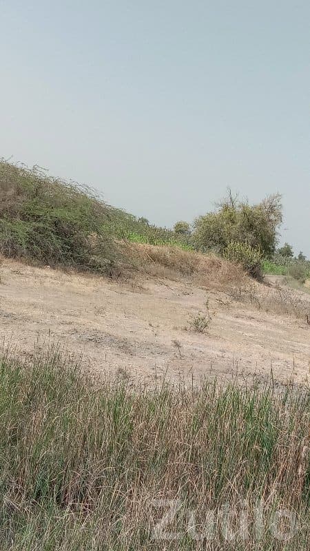 5 Vigha Road Touch Agriculture Land