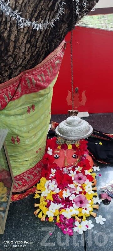 Dhoraji Land Plot Near Temple Area - Land & Plots - Dhoraji - Image 1