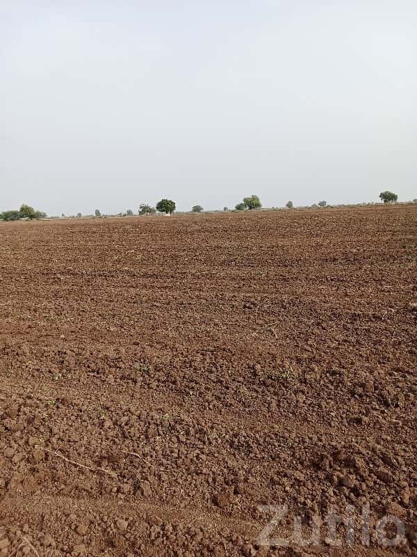 Savarkundla Agriculture Land Plot Sale Savarkundla Agriculture Land Plot Sale