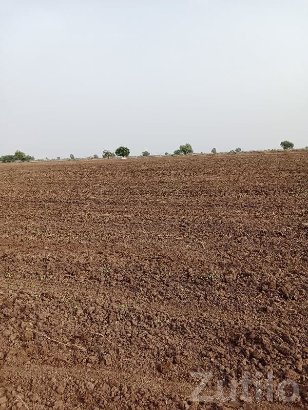 Savarkundla Agriculture Land Plot Sale