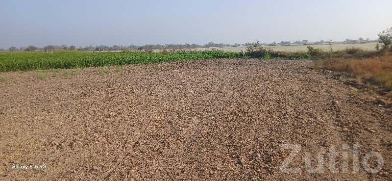 2.5 Vigha Agriculture Land for Sale 2.5 Vigha Agriculture Land for Sale