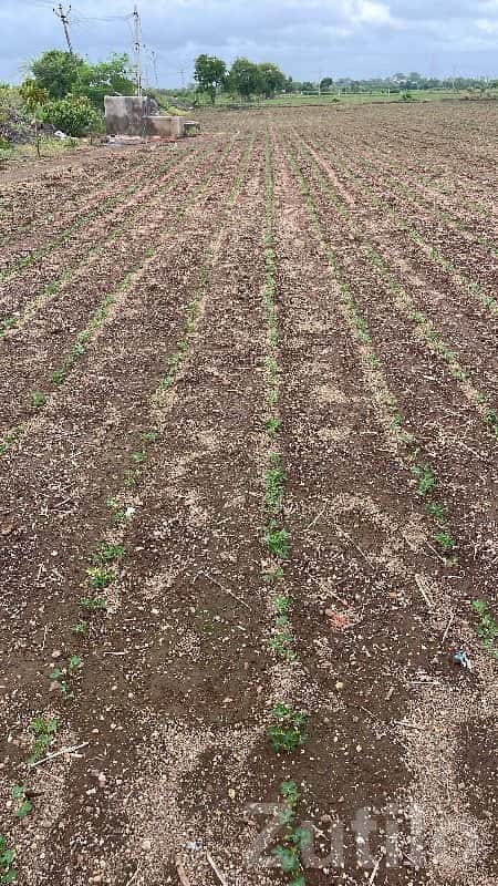 Fertile Agriculture Land in Jamjodhpur Fertile Agriculture Land in Jamjodhpur