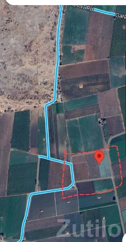 Fertile Agricultural Land in Manavadar Fertile Agricultural Land in Manavadar