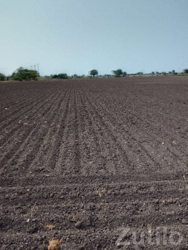 Fertile Agricultural Land Plot for Sale - જમીન અને પ્લોટ - રાજકોટ શહેર - Image 1