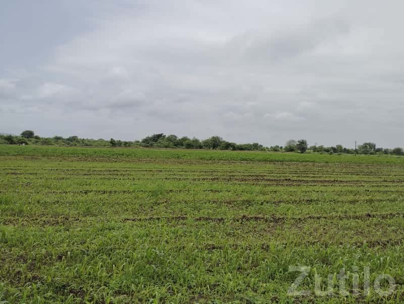 Fertile Green Agricultural Land Plot Fertile Green Agricultural Land Plot
