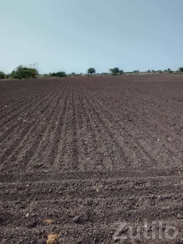 Fertile Agricultural Land for Sale Rajkot Fertile Agricultural Land for Sale Rajkot