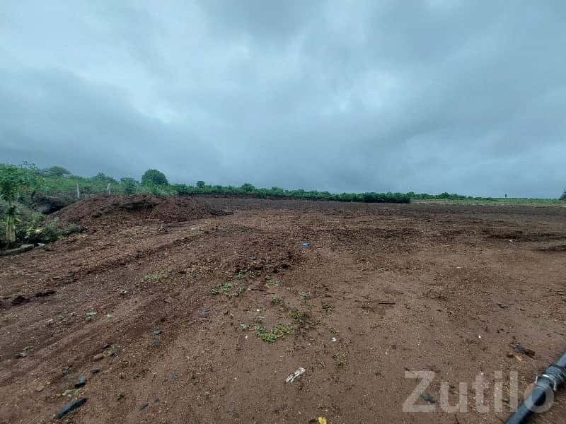 Fertile Open Land in Jambhalata Village Fertile Open Land in Jambhalata Village