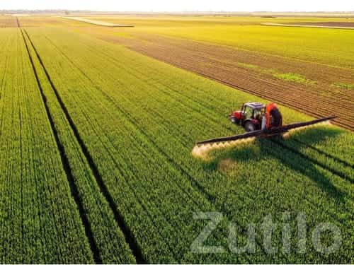 Fertile Agricultural Land Wanted in Rajkot Fertile Agricultural Land Wanted in Rajkot