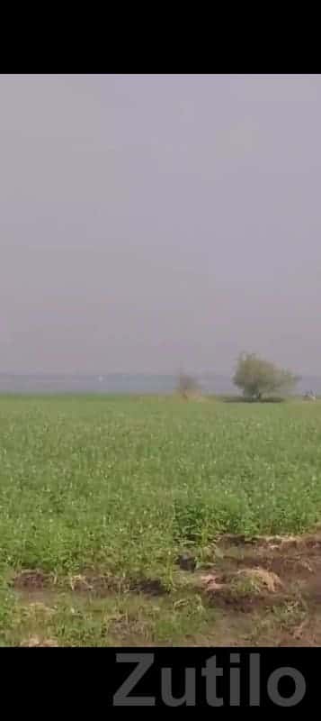 Fertile Agricultural Land in Gondal Fertile Agricultural Land in Gondal