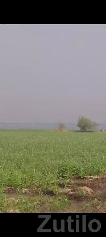 Fertile Agricultural Land in Gondal