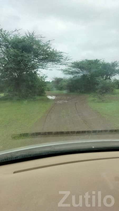 46 Vigha Fertile Agricultural Land 46 Vigha Fertile Agricultural Land