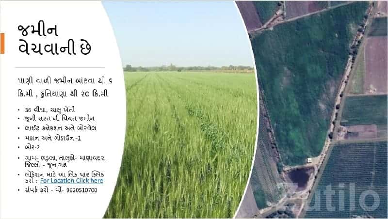 36 Vigha Fertile Agriculture Land, Bhadula 36 Vigha Fertile Agriculture Land, Bhadula