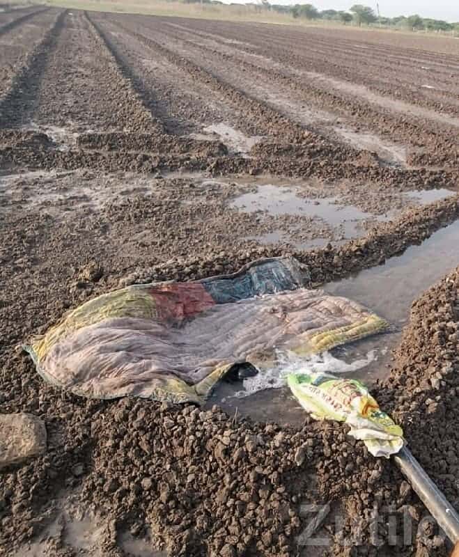 10.5 Vigha Fertile Farm Land with Water 10.5 Vigha Fertile Farm Land with Water