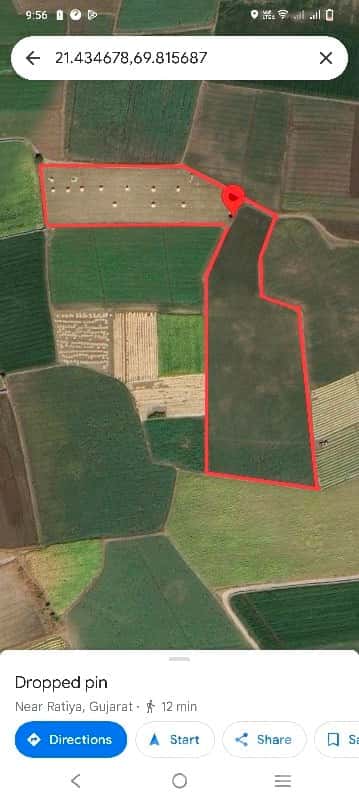 Fertile Agricultural Land Near Chhaya Fertile Agricultural Land Near Chhaya