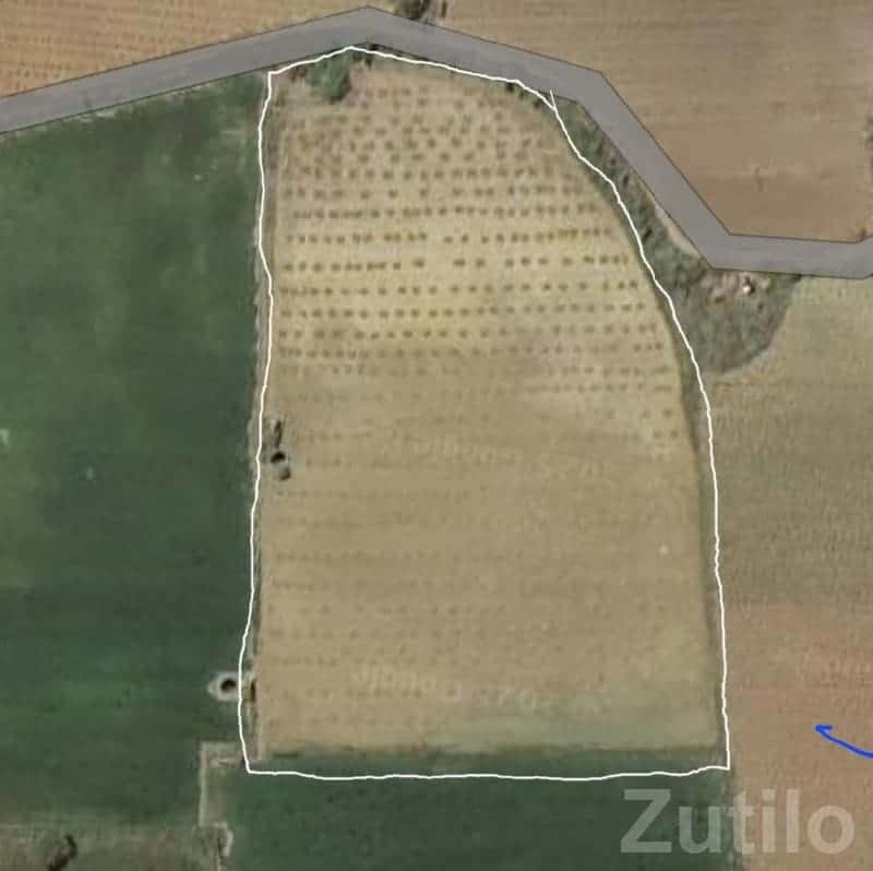 Fertile Agricultural Plot for Sale, Chhaya Fertile Agricultural Plot for Sale, Chhaya