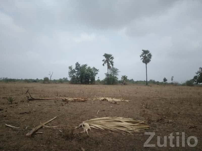 Open Agricultural Land Plot in Halol Open Agricultural Land Plot in Halol