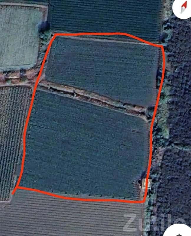 8 Vigha Fertile Farm Land Santalpur 8 Vigha Fertile Farm Land Santalpur