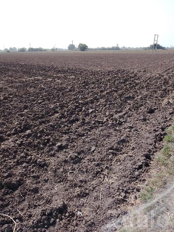 41 Bigha Fertile Agricultural Land Sale 41 Bigha Fertile Agricultural Land Sale