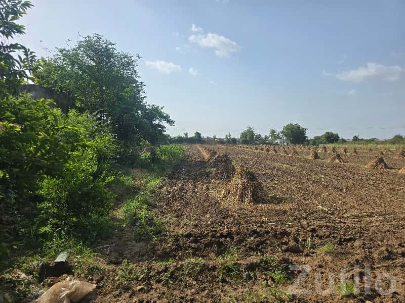 Fertile Agricultural Land in Talala Fertile Agricultural Land in Talala