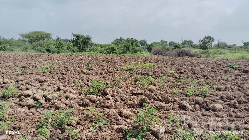 Fertile Agricultural Land in Mendarda Fertile Agricultural Land in Mendarda