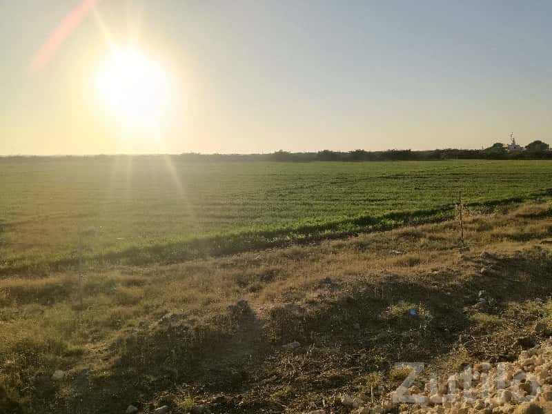 Open Green Agricultural Plot in Chhaya Open Green Agricultural Plot in Chhaya