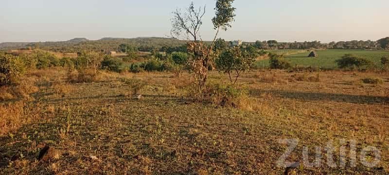 Mendarda Roadside Agricultural Land Plot Mendarda Roadside Agricultural Land Plot