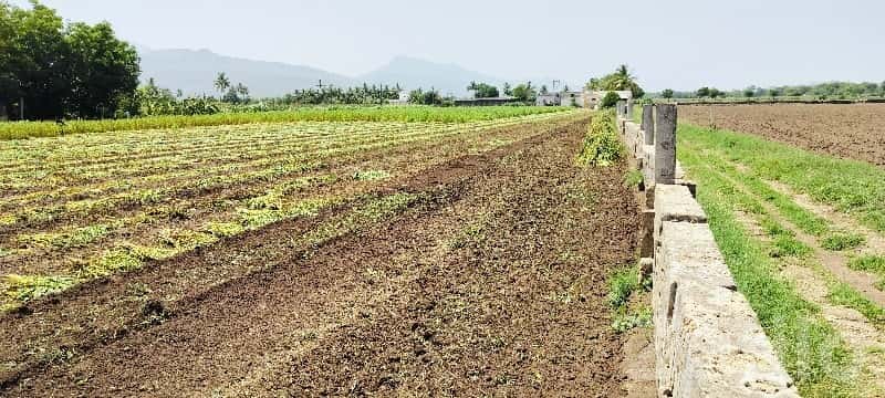 Fertile Agricultural Land in Talala Junagadh Fertile Agricultural Land in Talala Junagadh