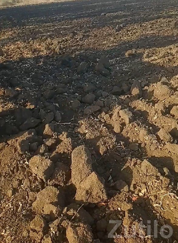 Fertile Agricultural Land in Gondal