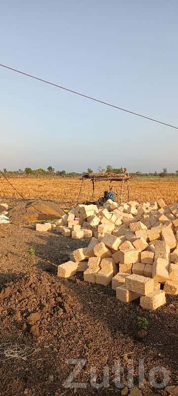 Agricultural Land Plot in Kodinar Agricultural Land Plot in Kodinar