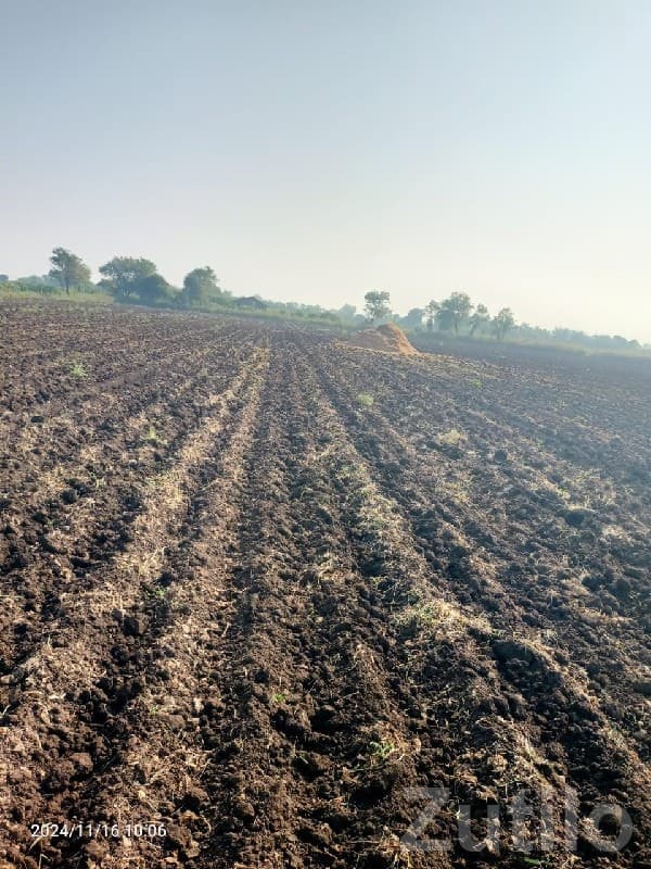 Fertile Agriculture Land in Rajkot - Land & Plots - Rajkot City - Image 1
