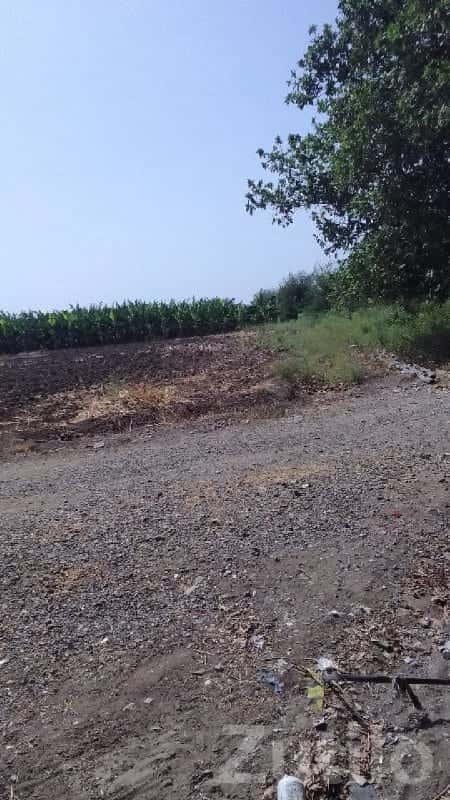 Fertile Agricultural Land for Sale Fertile Agricultural Land for Sale