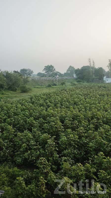 Road Touch 13.5 Vigha Green Farmland Plot Road Touch 13.5 Vigha Green Farmland Plot