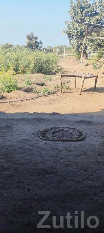 Moti Khodiyar 17 Bigha Farmland Plot Moti Khodiyar 17 Bigha Farmland Plot