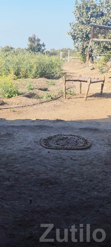 Moti Khodiyar 17 Bigha Farmland Plot - Land & Plots - Mendarda - Image 1