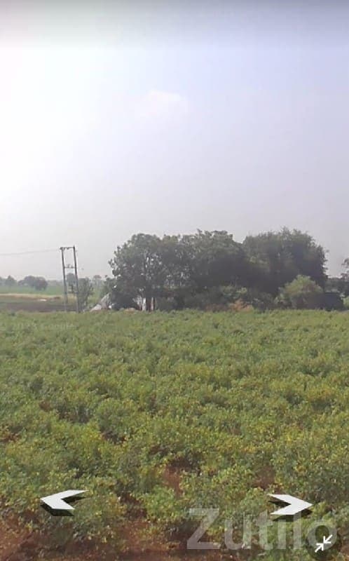 Fertile Agriculture Land in Talala - Land & Plots - Talala - Image 1