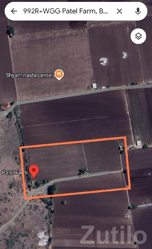 Agricultural Land for Sale in Mendarda - Land & Plots - Mendarda - Image 1