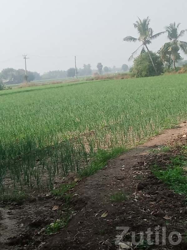 Fertile Green Agricultural Land Plot Fertile Green Agricultural Land Plot