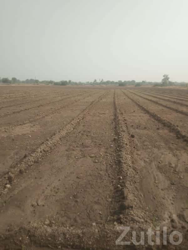 80 Vigha Fertile Farm Land, One Piece Plot 80 Vigha Fertile Farm Land, One Piece Plot