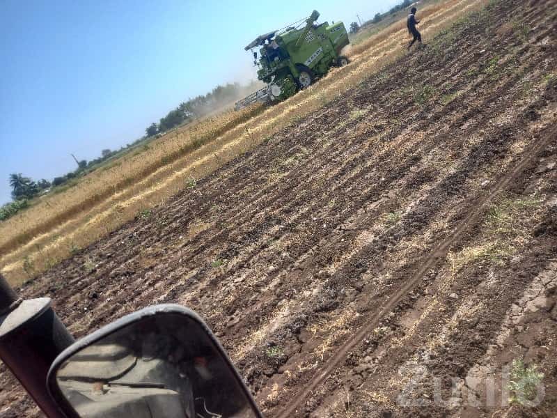10 Bigha Fertile Agricultural Land Sale 10 Bigha Fertile Agricultural Land Sale