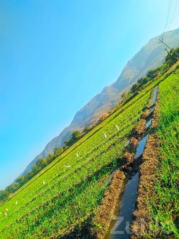 Fertile Agricultural Land Near Hills Fertile Agricultural Land Near Hills
