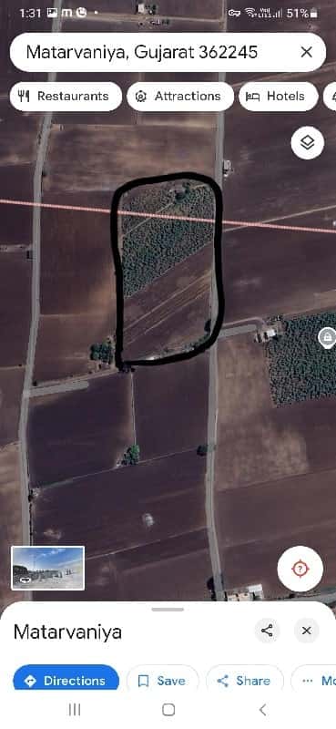 Matarvaniya 15 Bigha Roadside Farmland Matarvaniya 15 Bigha Roadside Farmland