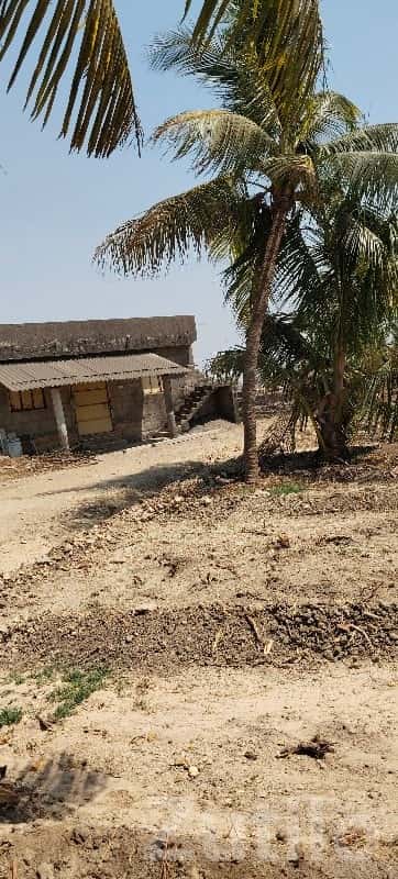 5 Bigha Agriculture Land in Mangrol 5 Bigha Agriculture Land in Mangrol