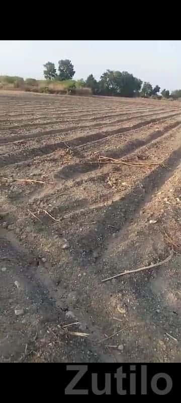 17 Vigha Farm Land with Well Connection 17 Vigha Farm Land with Well Connection