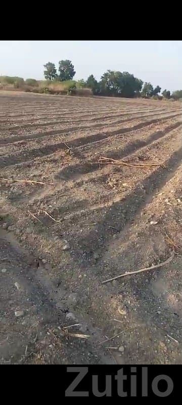 17 Vigha Farm Land with Well Connection